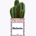 Bichette - Cactus