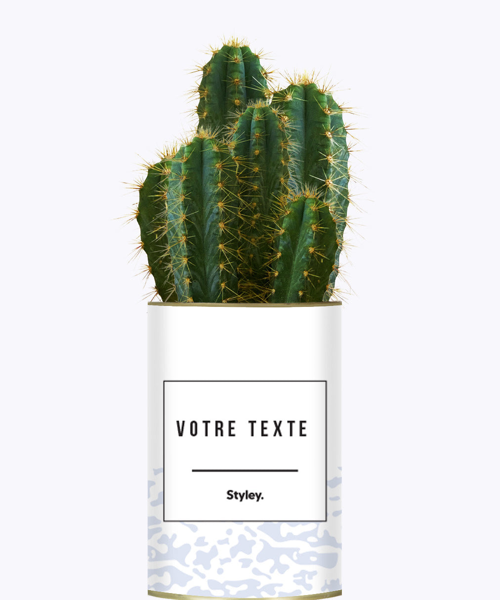 Adjectif personnalisable violet - Cactus