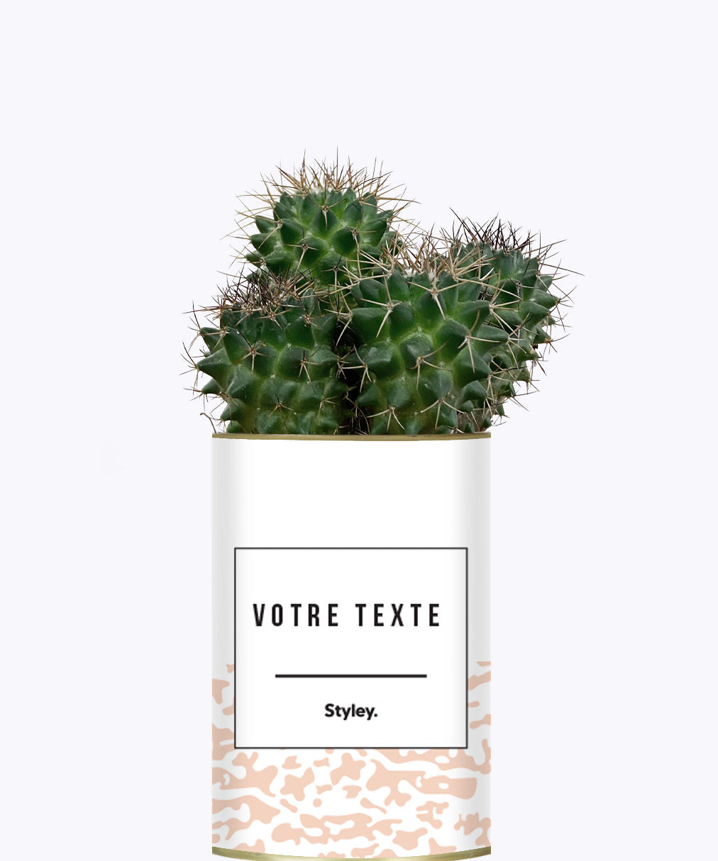 Adjectif personnalisable rose - Cactus