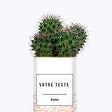 Adjectif personnalisable rose - Cactus