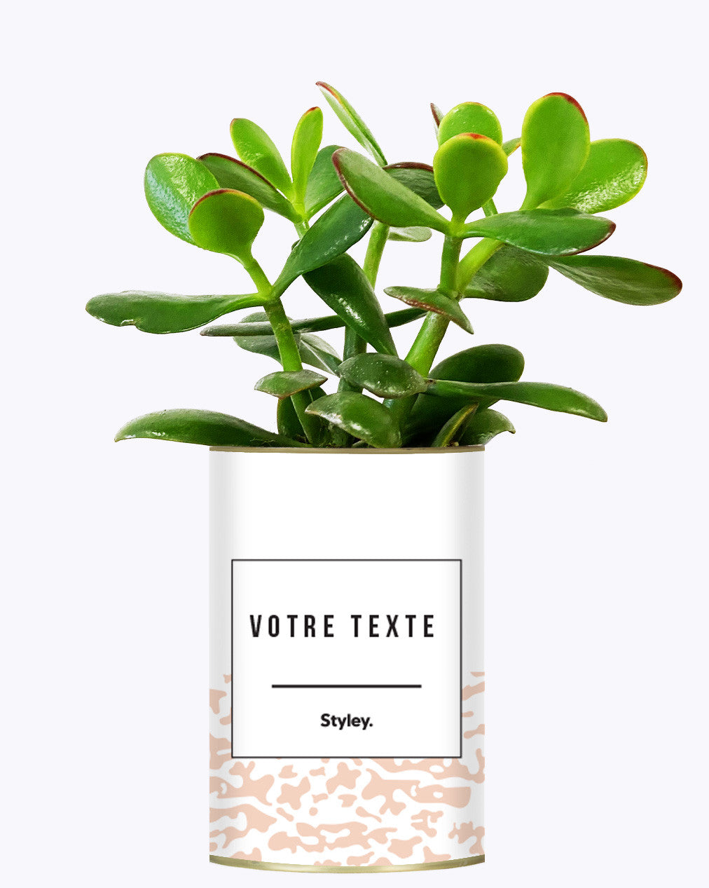 Adjectif personnalisable rose - Cactus