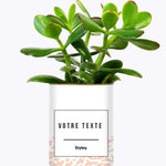Adjectif personnalisable rose - Cactus