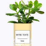 Adjectif personnalisable jaune - Cactus
