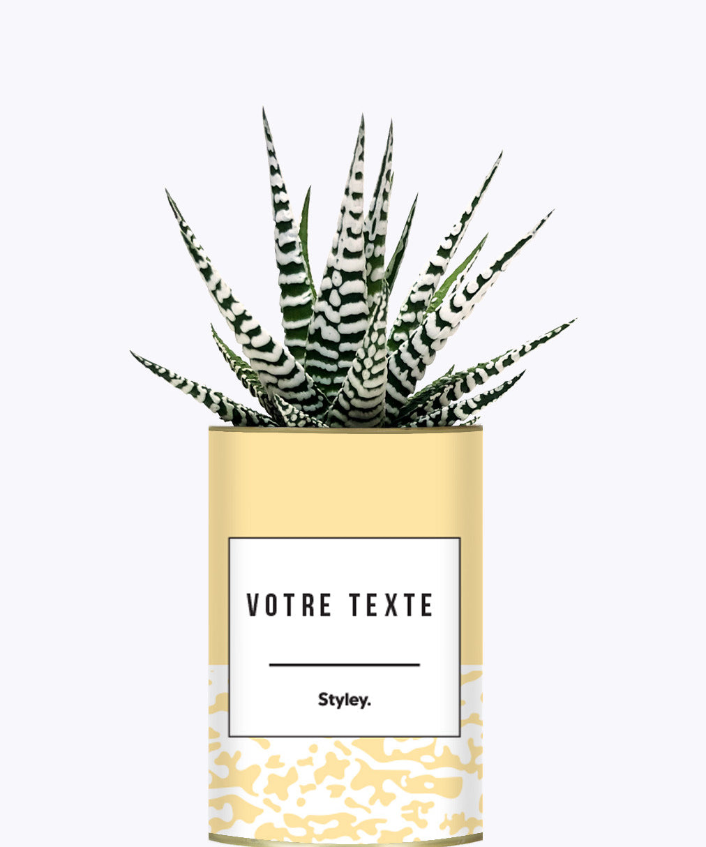 Adjectif personnalisable jaune - Cactus