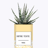 Adjectif personnalisable jaune - Cactus