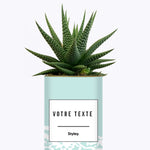 Adjectif personnalisable bleu - Cactus