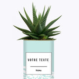 Adjectif personnalisable bleu - Cactus