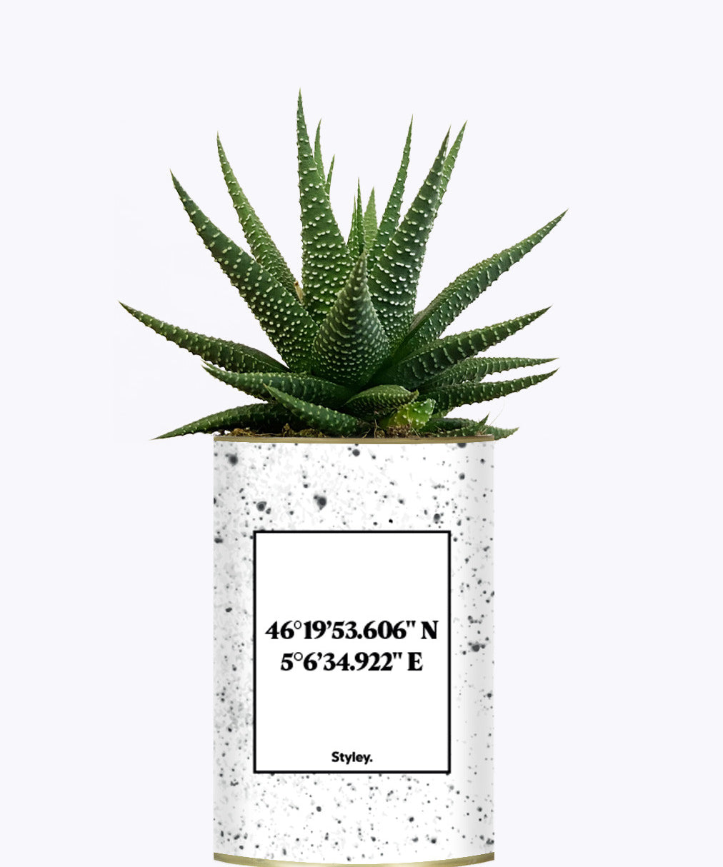 Coordonnées personnalisables - Cactus