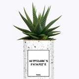 Coordonnées personnalisables - Cactus