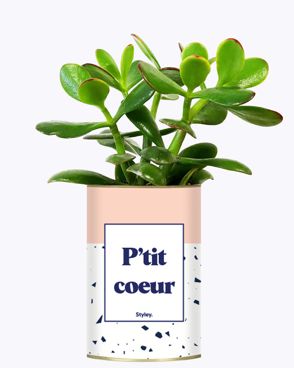 P'tit coeur - Cactus