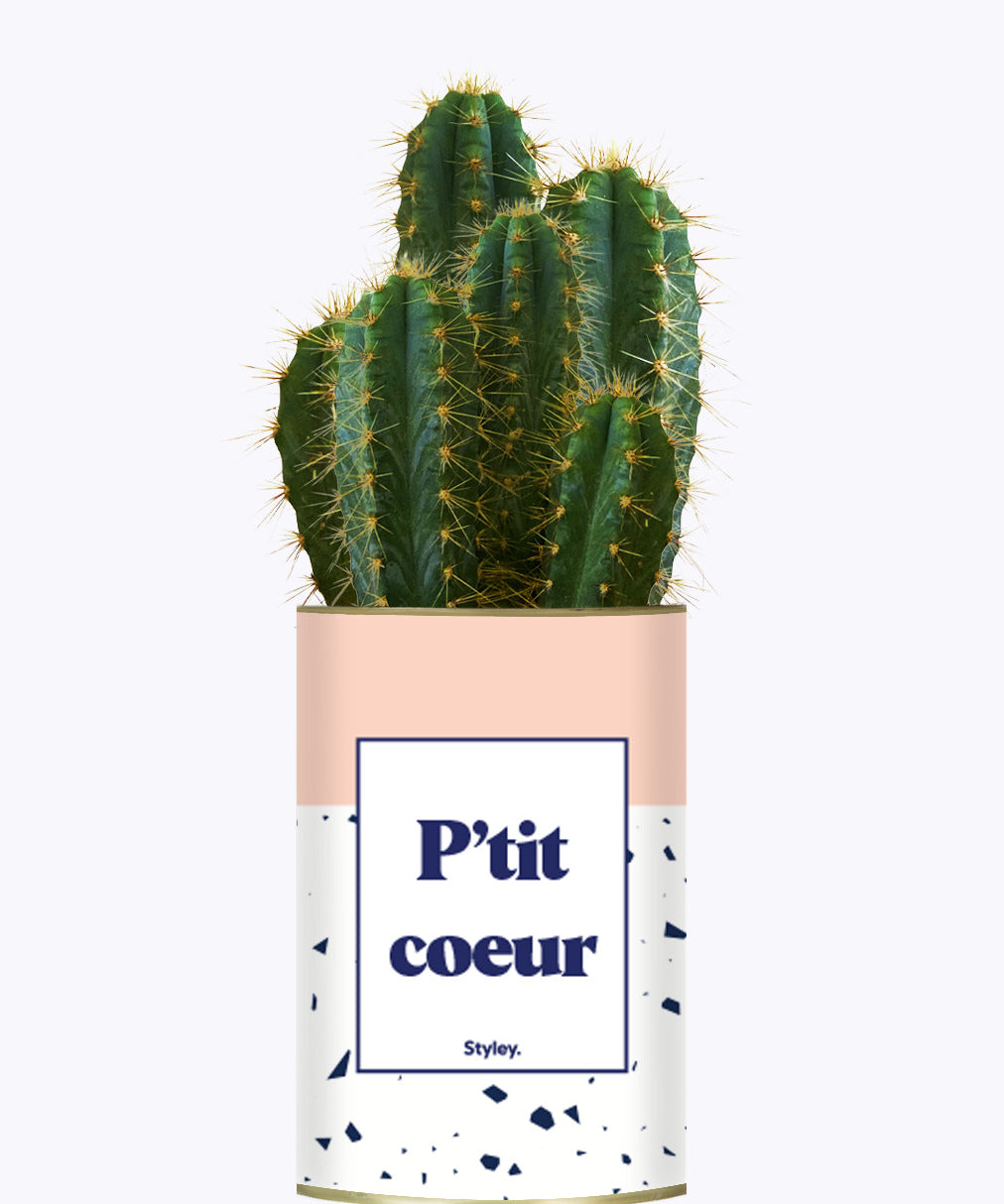 P'tit coeur - Cactus