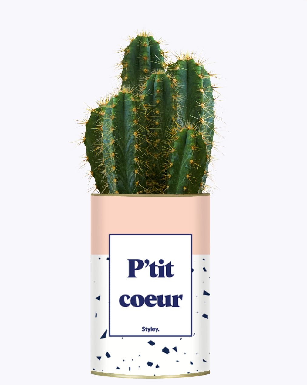 P'tit coeur - Cactus