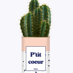 P'tit coeur - Cactus