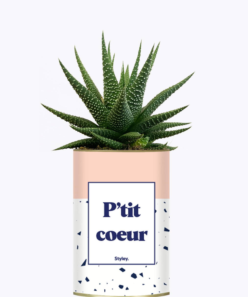 P'tit coeur - Cactus