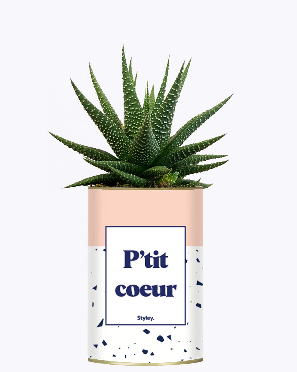 P'tit coeur - Cactus