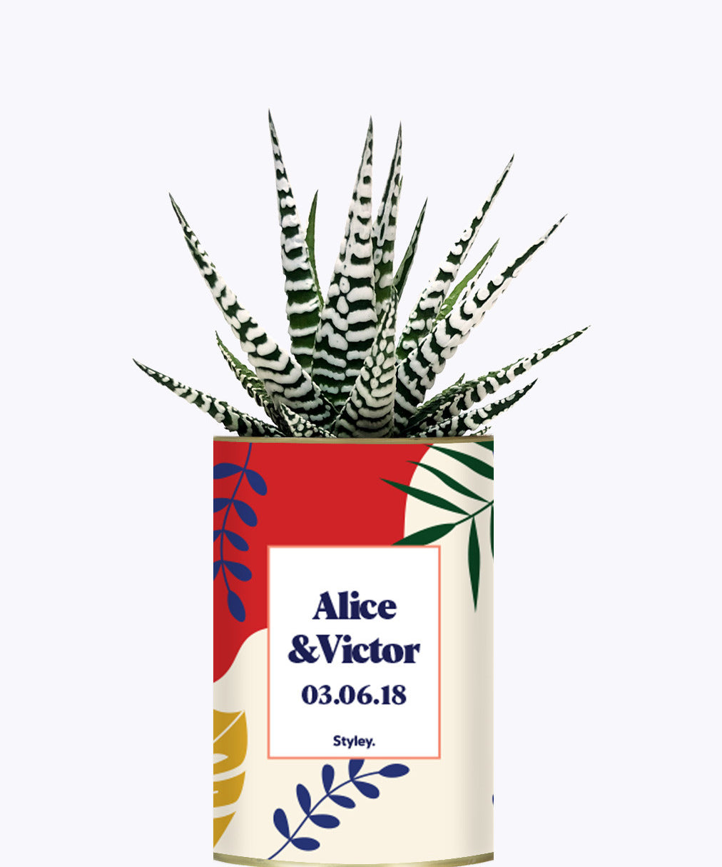 Tropical personnalisable - Cactus