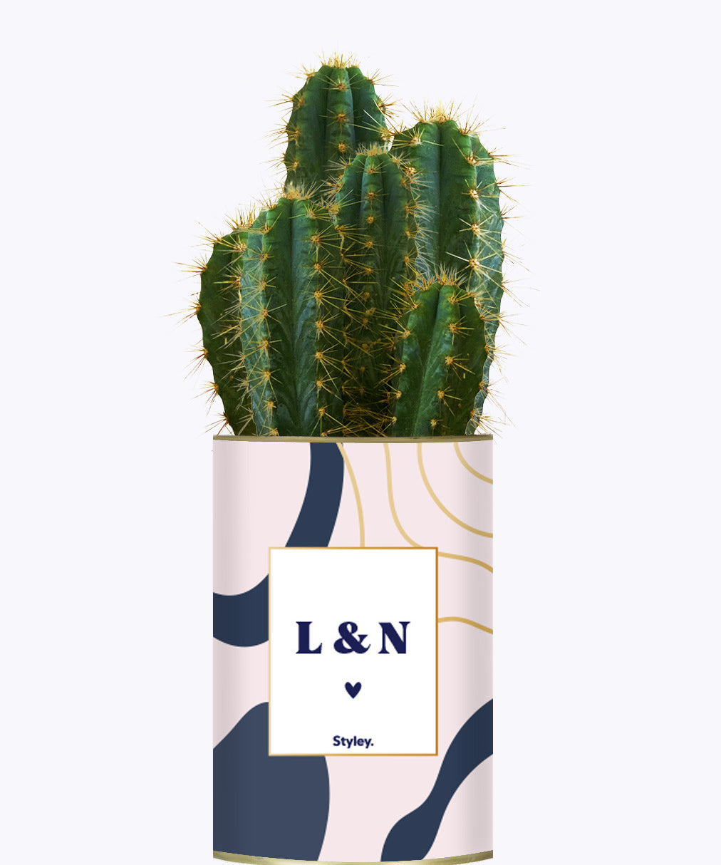 Initiales personnalisables - Cactus