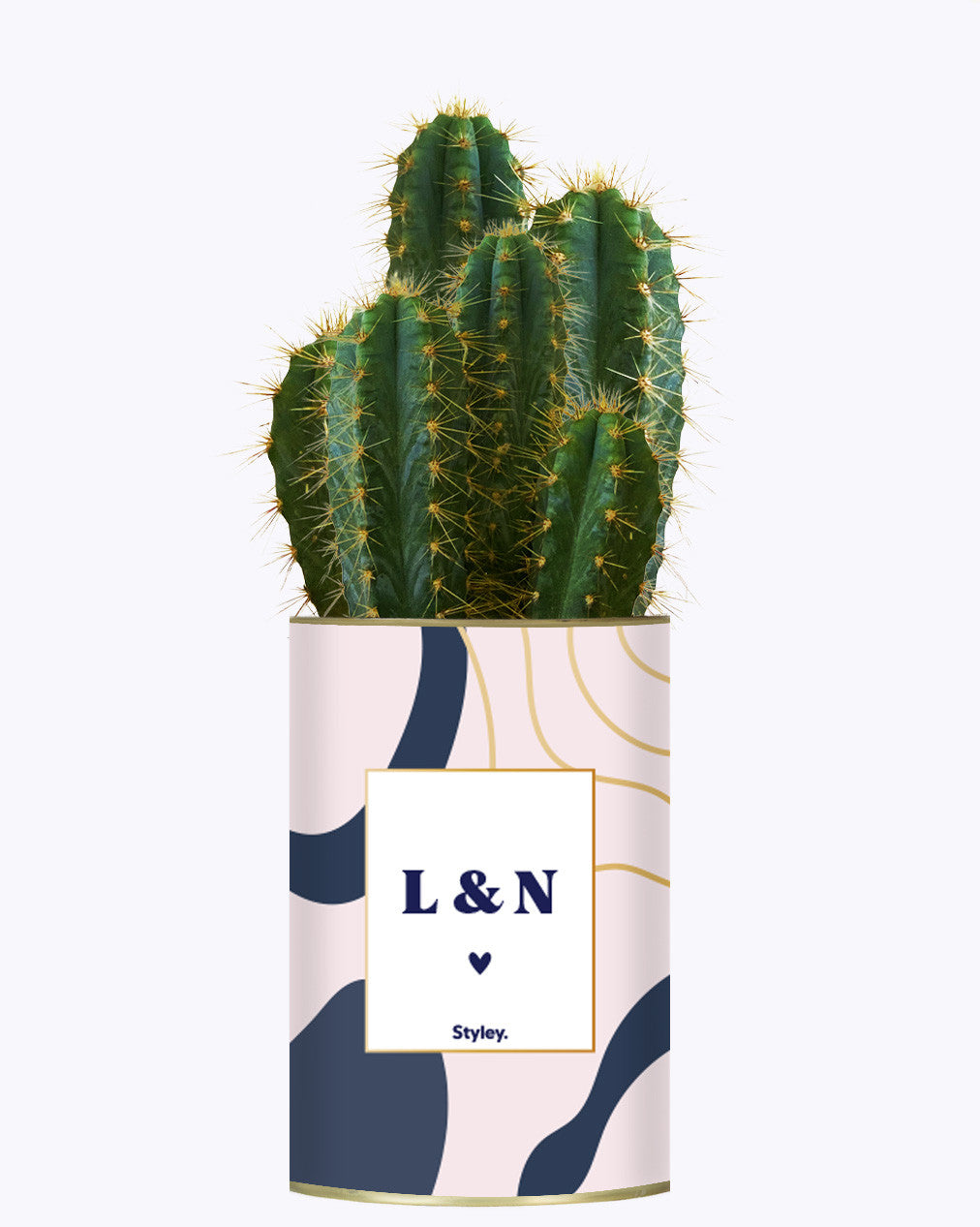 Initiales personnalisables - Cactus