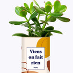 Viens on fait rien - Cactus