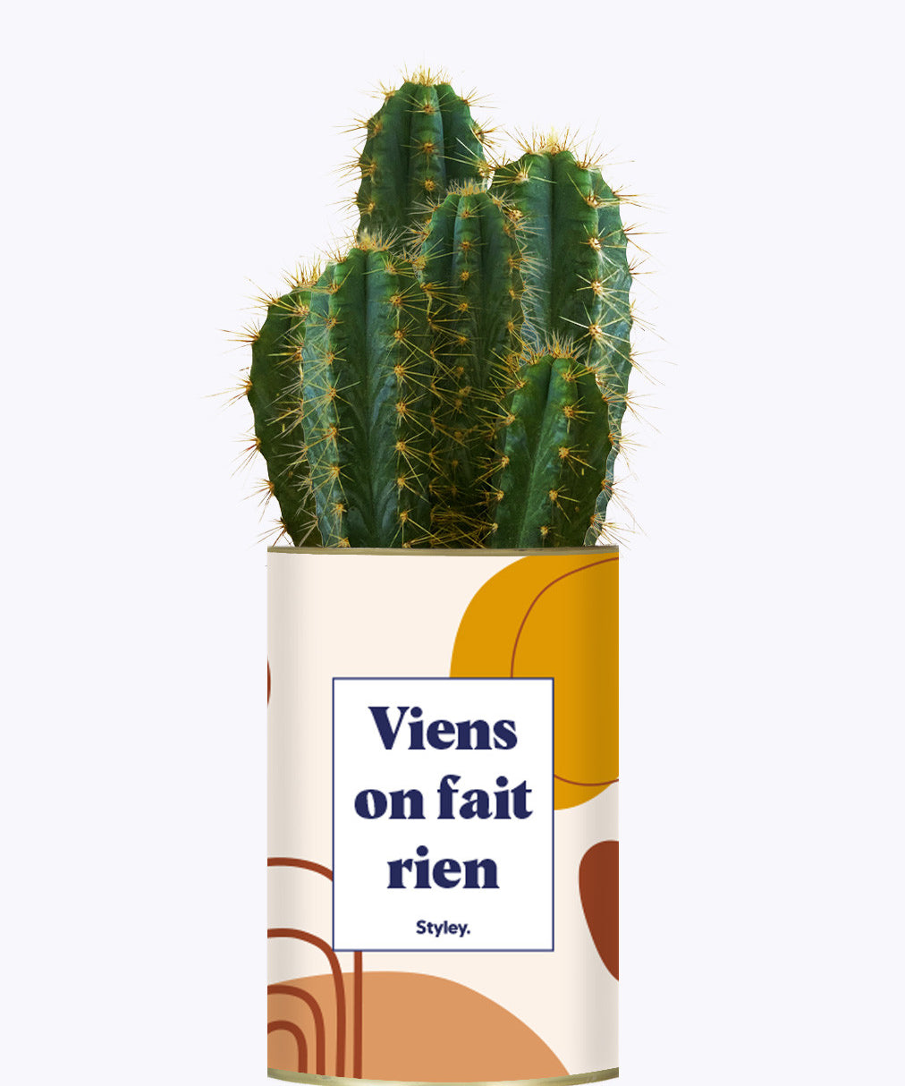 Viens on fait rien - Cactus