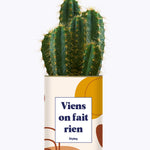 Viens on fait rien - Cactus