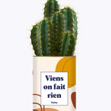 Viens on fait rien - Cactus