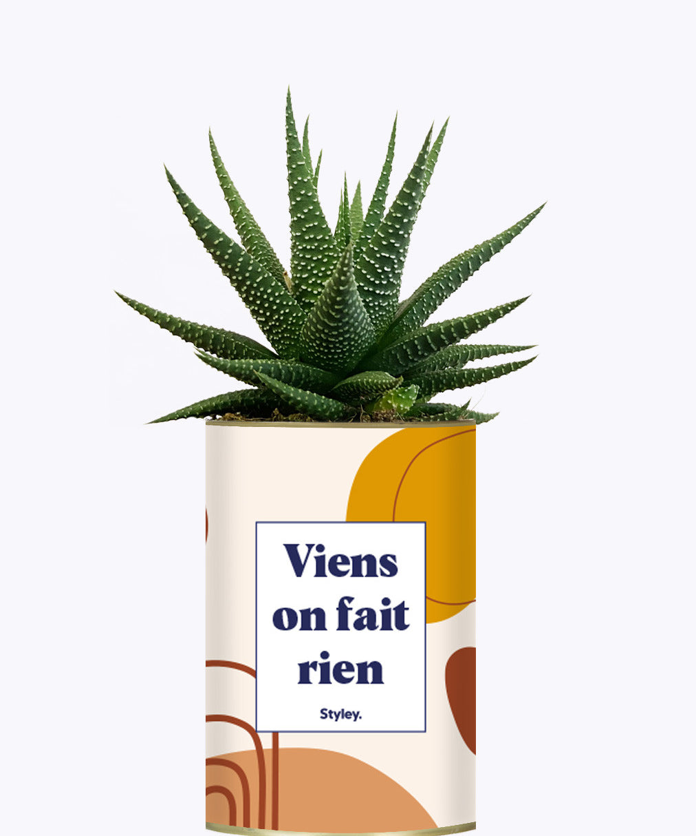 Viens on fait rien - Cactus