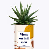 Viens on fait rien - Cactus