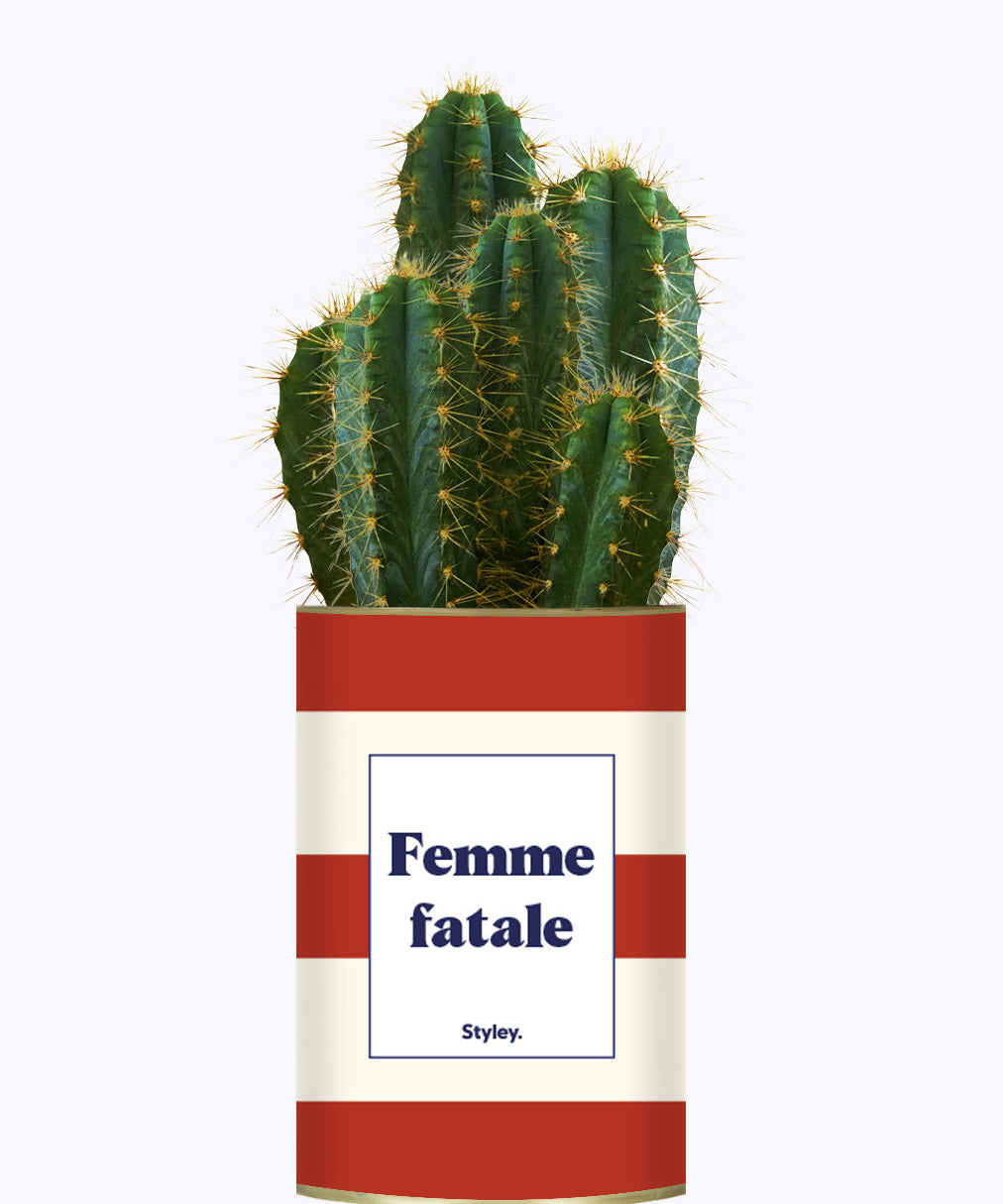 Femme fatale - Cactus