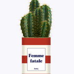 Femme fatale - Cactus