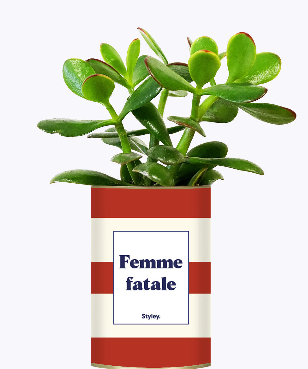 Femme fatale - Cactus