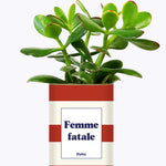 Femme fatale - Cactus