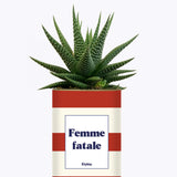 Femme fatale - Cactus