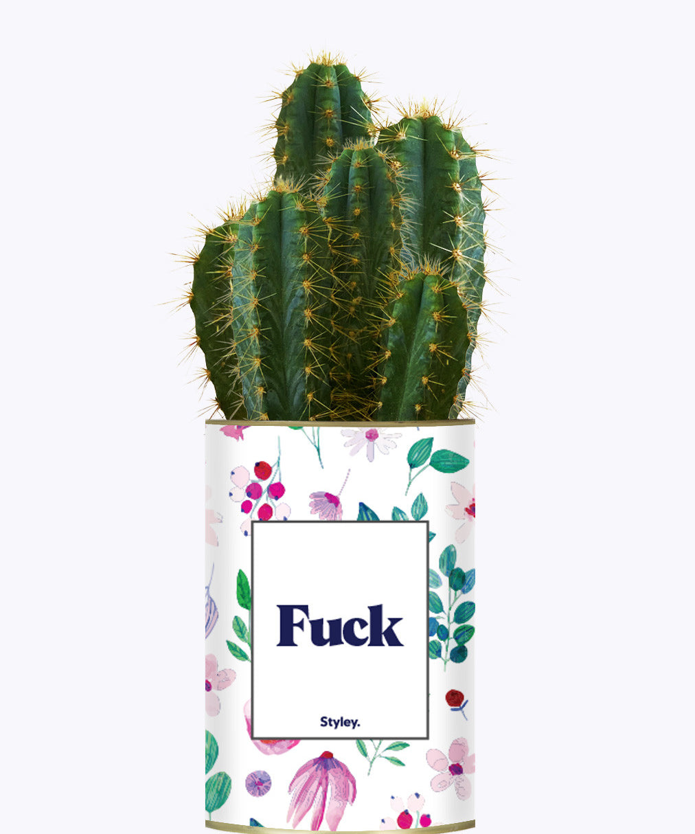 Fuck - Cactus