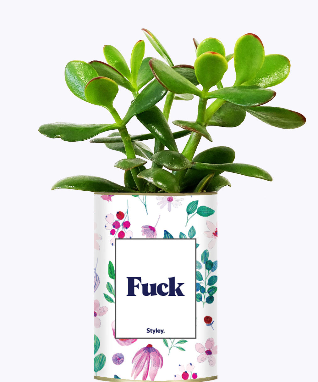 Fuck - Cactus