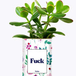 Fuck - Cactus