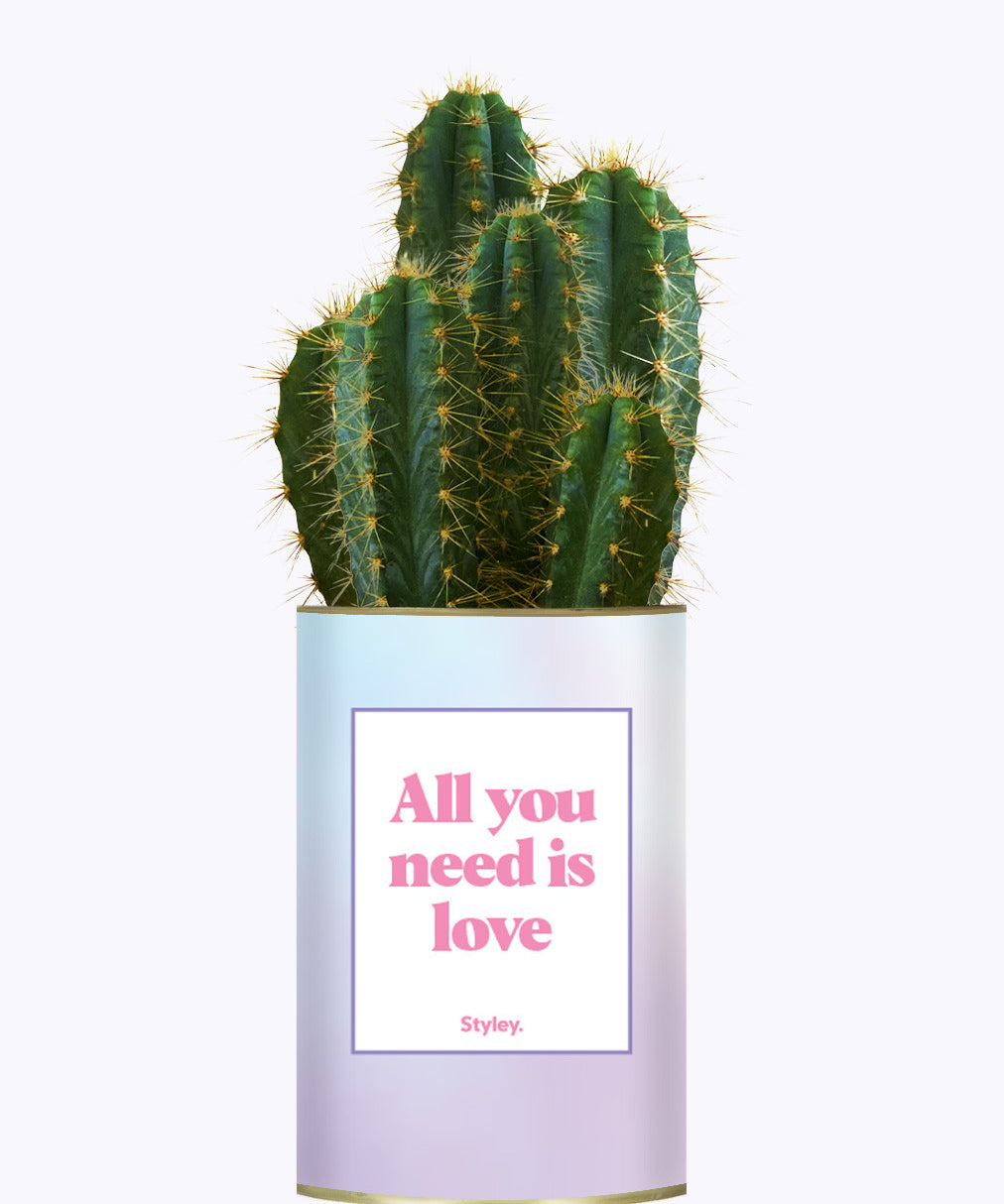 All you need is love - Cactus