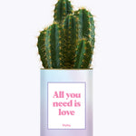 All you need is love - Cactus