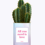 All you need is love - Cactus