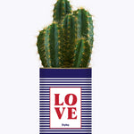 LOVE - Cactus