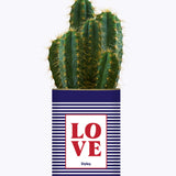 LOVE - Cactus