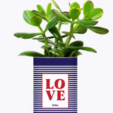 LOVE - Cactus