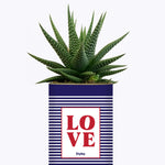 LOVE - Cactus