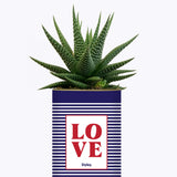 LOVE - Cactus