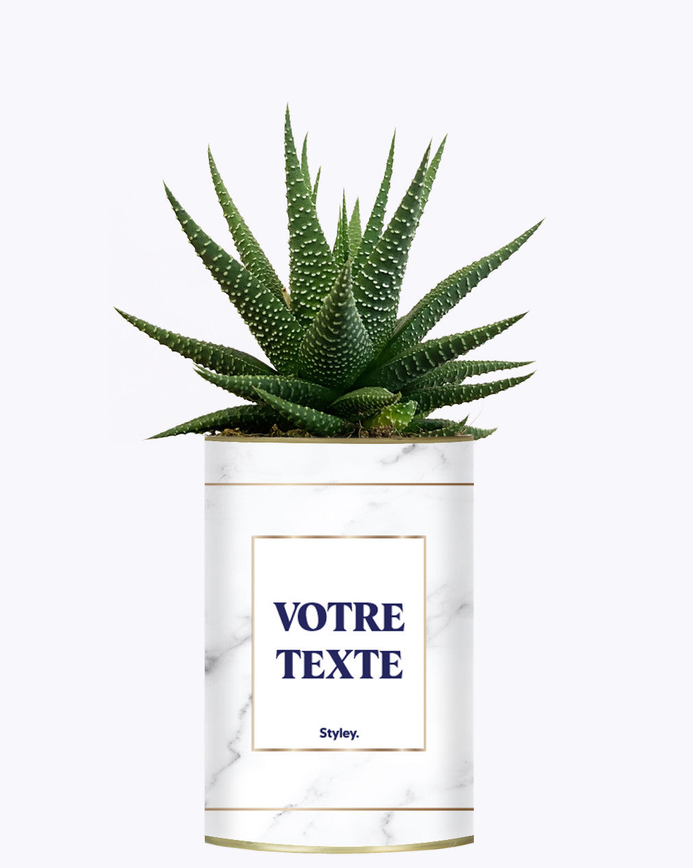 Cactus Marbre - Personnalisable