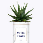 Cactus Marbre - Personnalisable