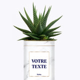 Cactus Marbre - Personnalisable