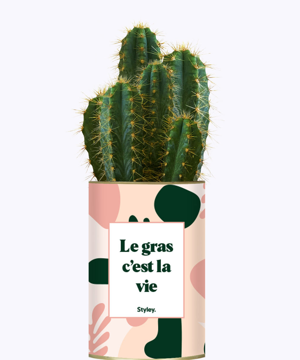 Le gras c'est la vie - Cactus