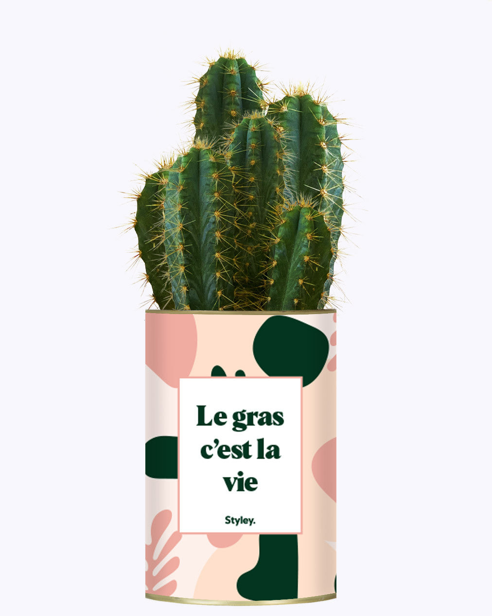 Le gras c'est la vie - Cactus