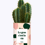 Le gras c'est la vie - Cactus